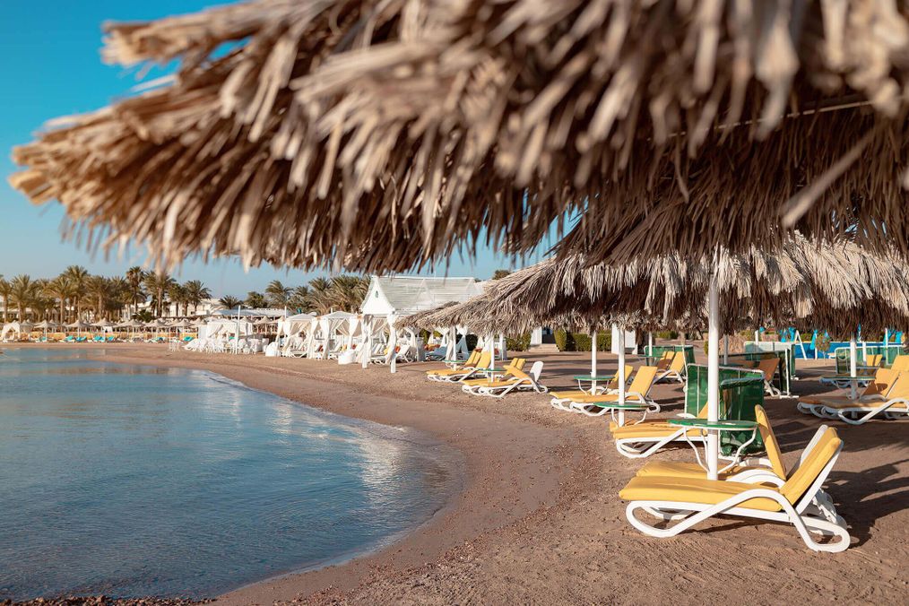 Картинка отеля - 10