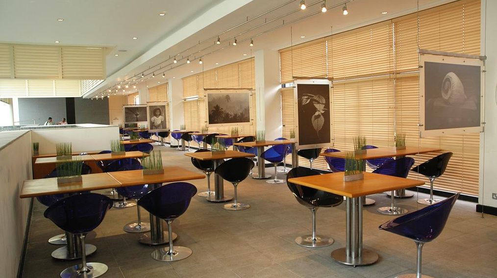 Картинка отеля - 16