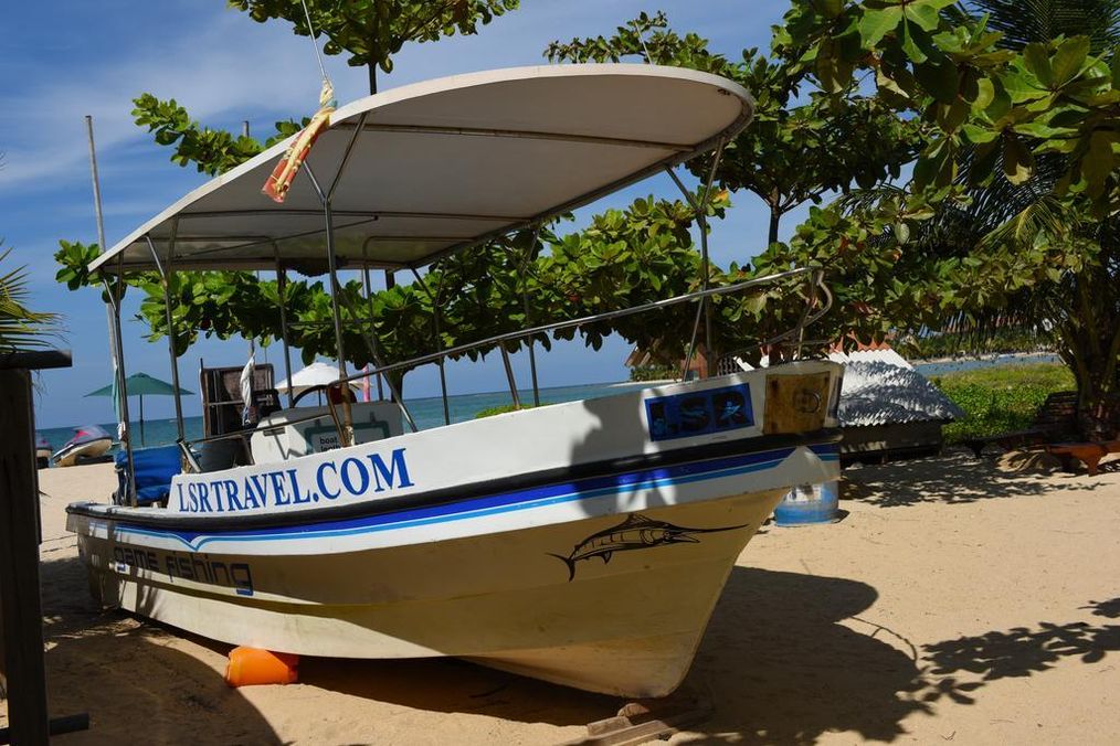 Картинка отеля - 12