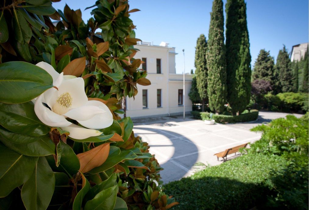 Картинка отеля - 22