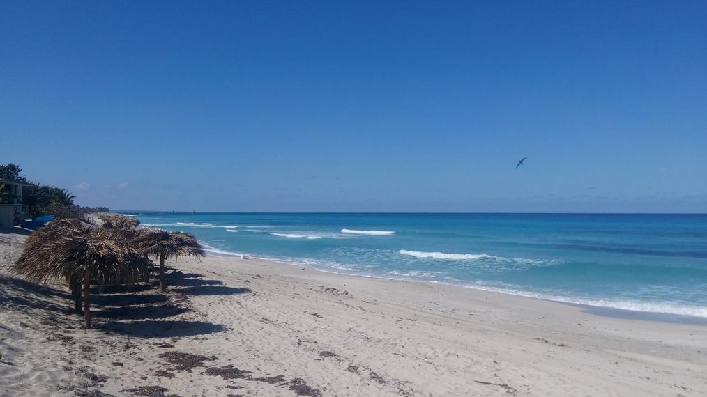 Картинка отеля - 12