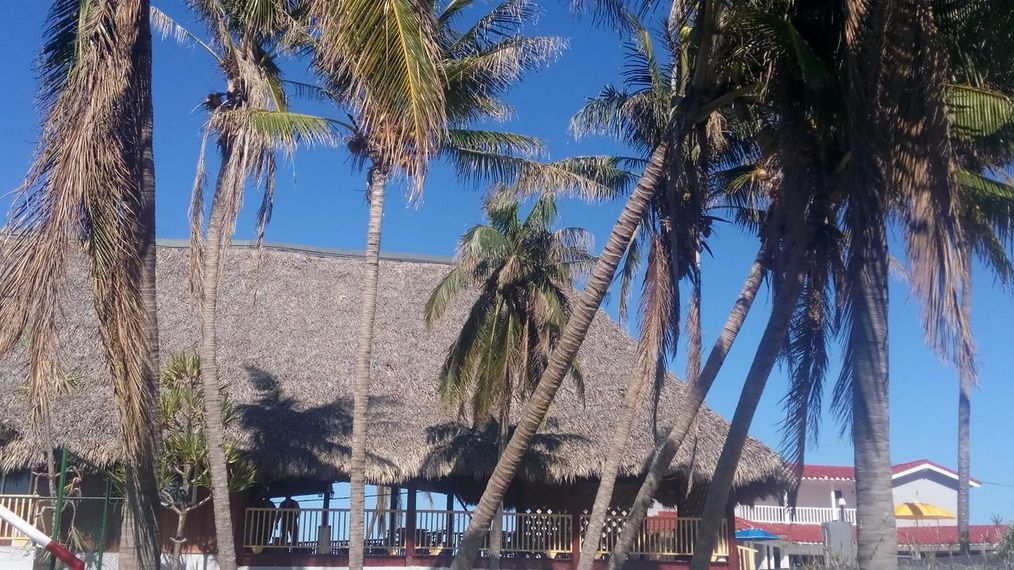 Картинка отеля - 15