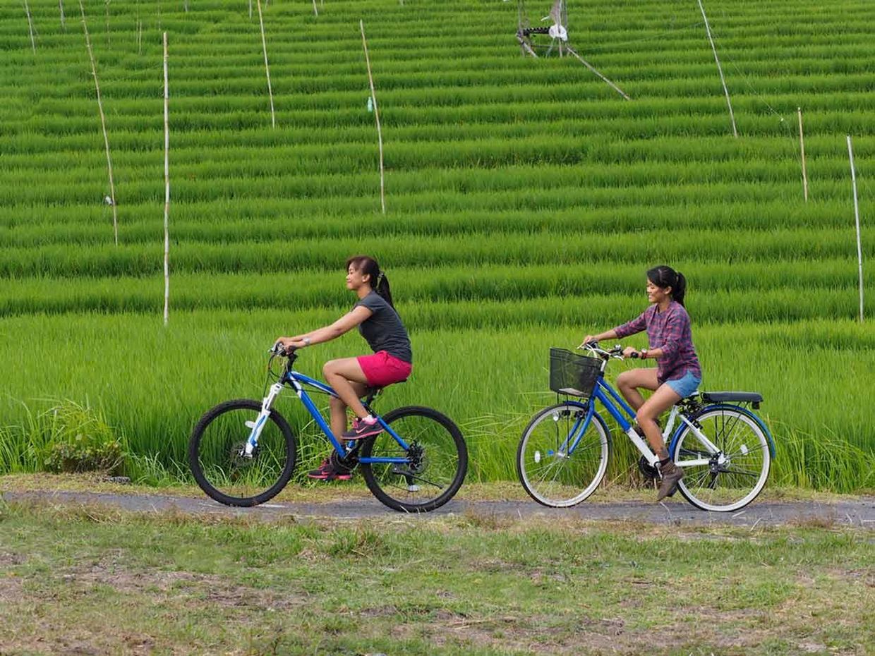 THE SANTAI UMALAS BALI - 10