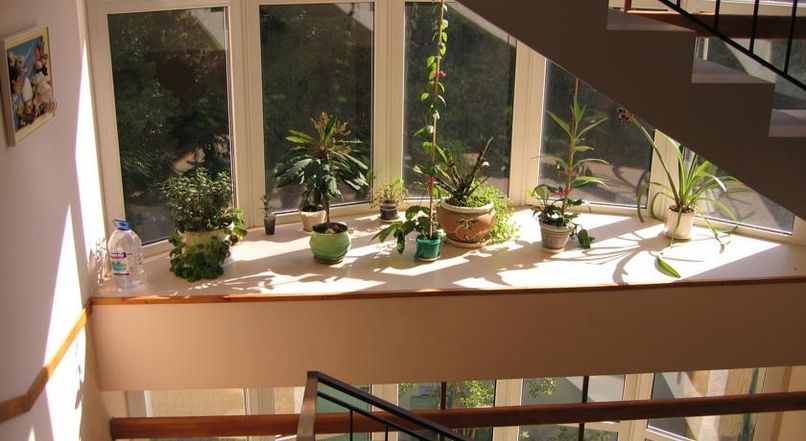 СОФИЯ ROOMS, гостевой дом - 4