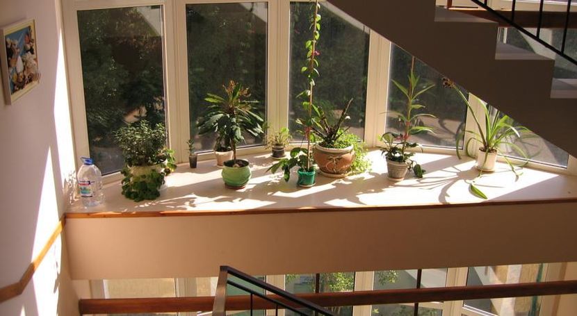 СОФИЯ ROOMS, гостевой дом - 4