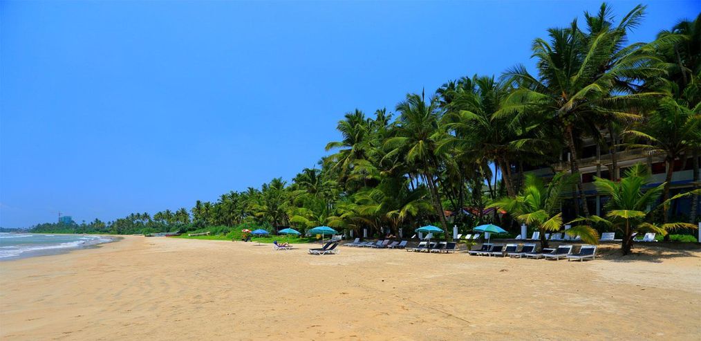 Картинка отеля - 11