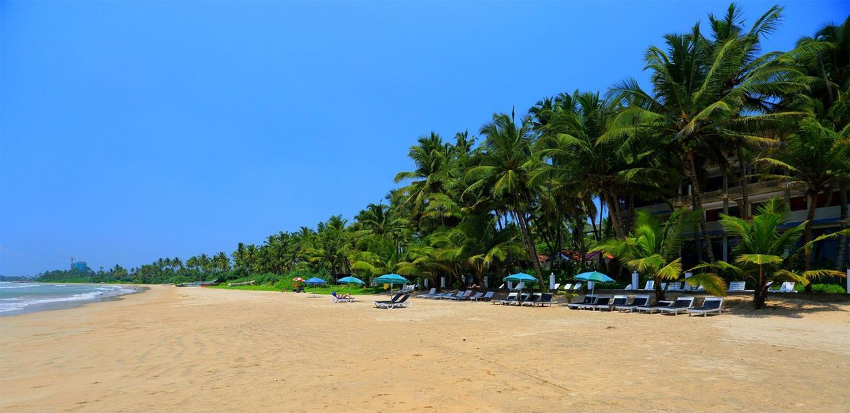 JAGA BAY RESORT GUESTHOUSE - 11