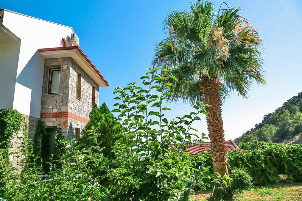 Картинка отеля - 26