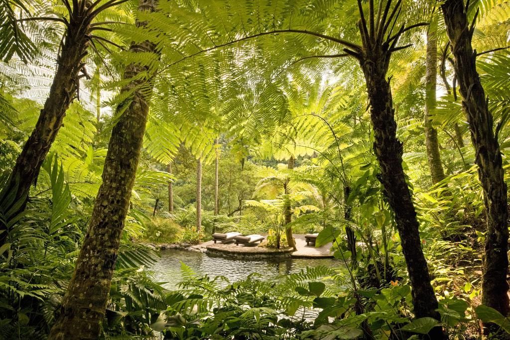 COMO SHAMBALA ESTATE - 33