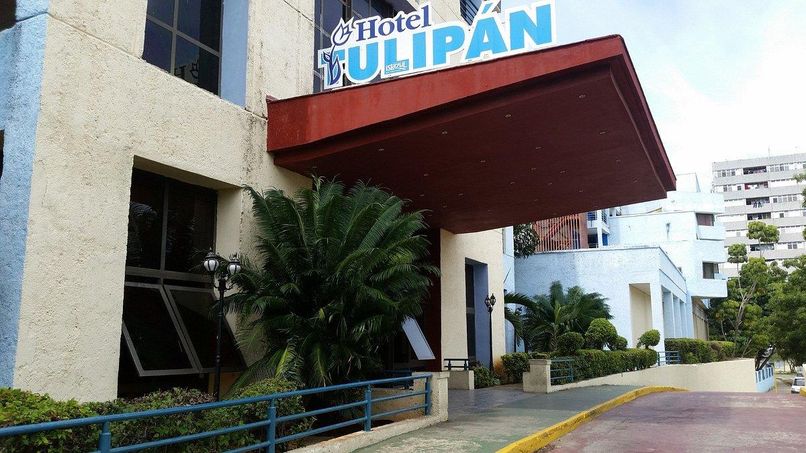 TULIPAN - 1
