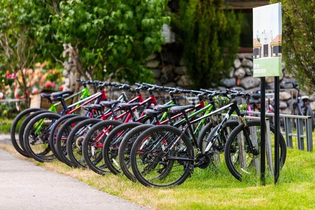 LOPOTA LAKE RESORT & SPA - 16