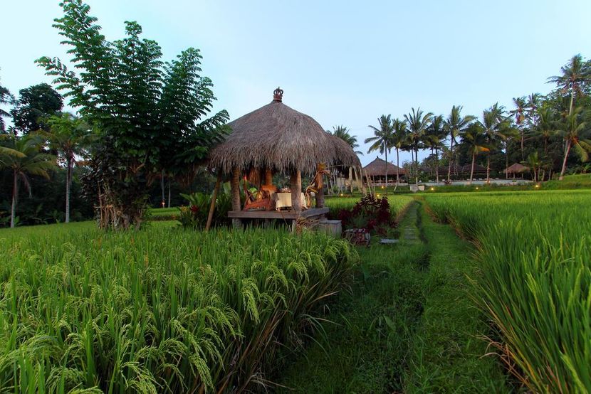 MATHIS RETREAT UBUD - 1