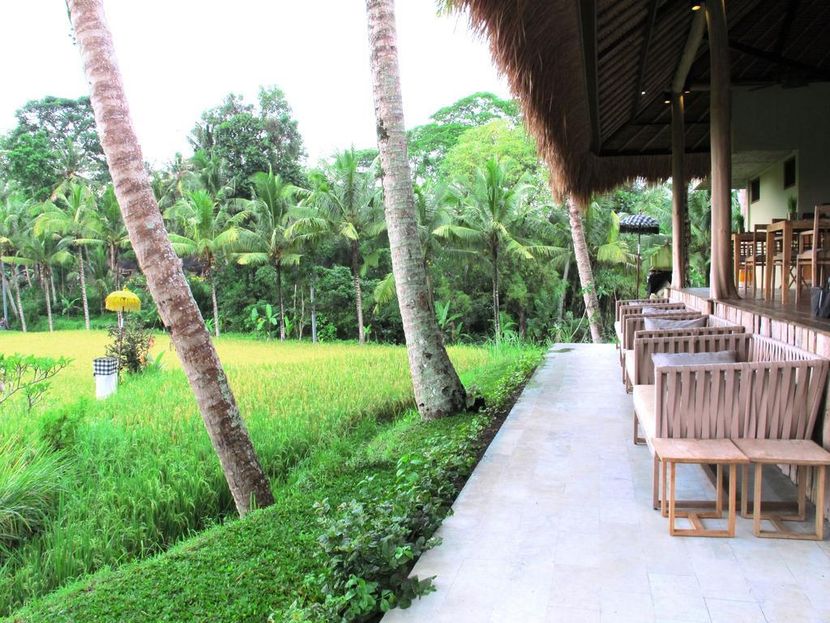 MATHIS RETREAT UBUD - 6
