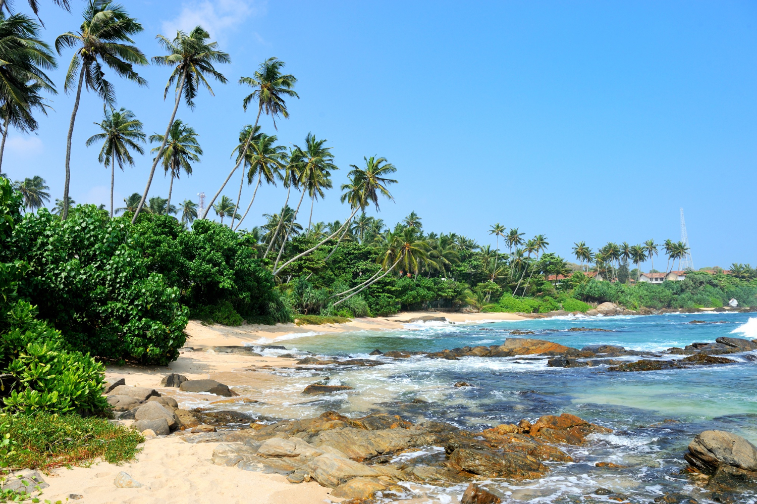 Goa tropical beach