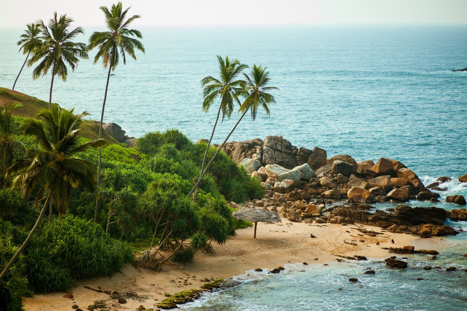 Шри-Ланка отказалась от электронных виз для туристов - 1