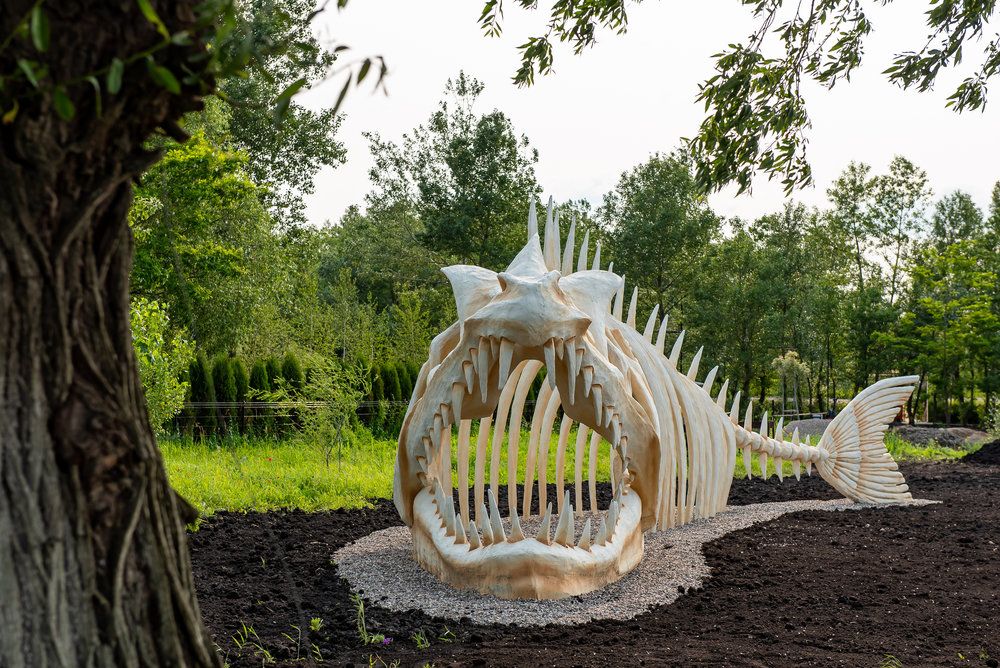 МПАРК, база отдыха глэмпинг - 6