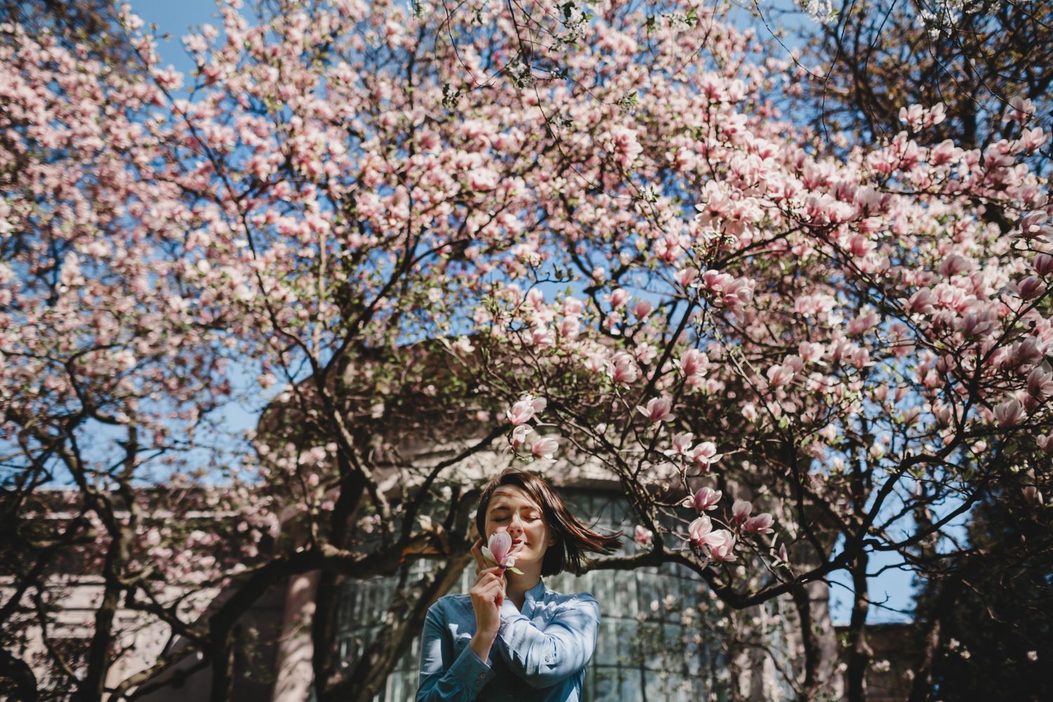 Запись в визовые центры Японии откроется 6 февраля - 1