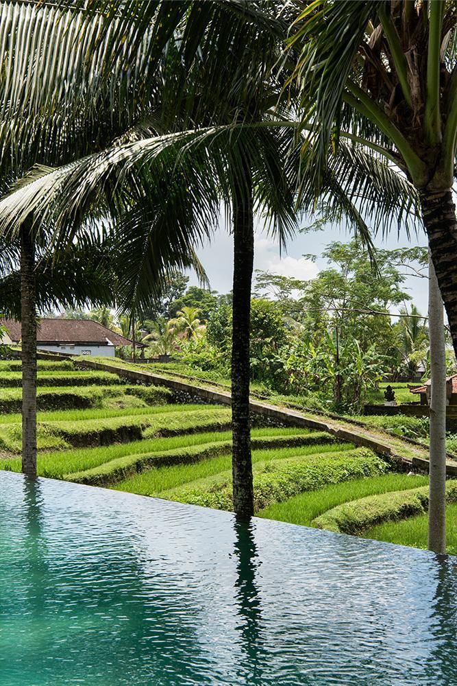 BLUE KARMA DIJIWA UBUD - 9