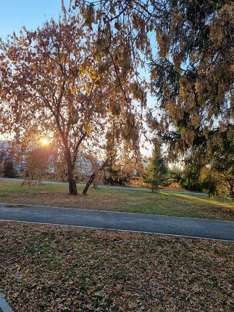 А-ОТЕЛЬ ЛАЙНЕР АЭРОПОРТ ЕКАТЕРИНБУРГ, отель - 9
