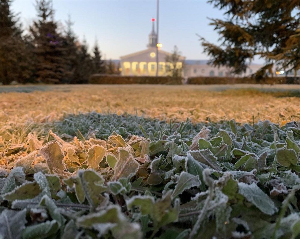 А-ОТЕЛЬ ЛАЙНЕР АЭРОПОРТ ЕКАТЕРИНБУРГ, отель - 8