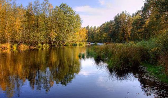 СОЛОТЧА, санаторий - 14