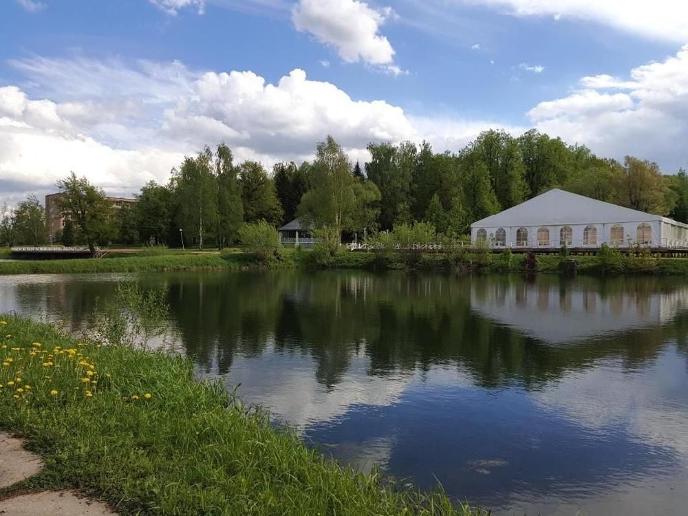 ДОМ ТВОРЧЕСТВА ГОСТЕЛЕРАДИО (бывш. СОФРИНО), парк-отель - 8