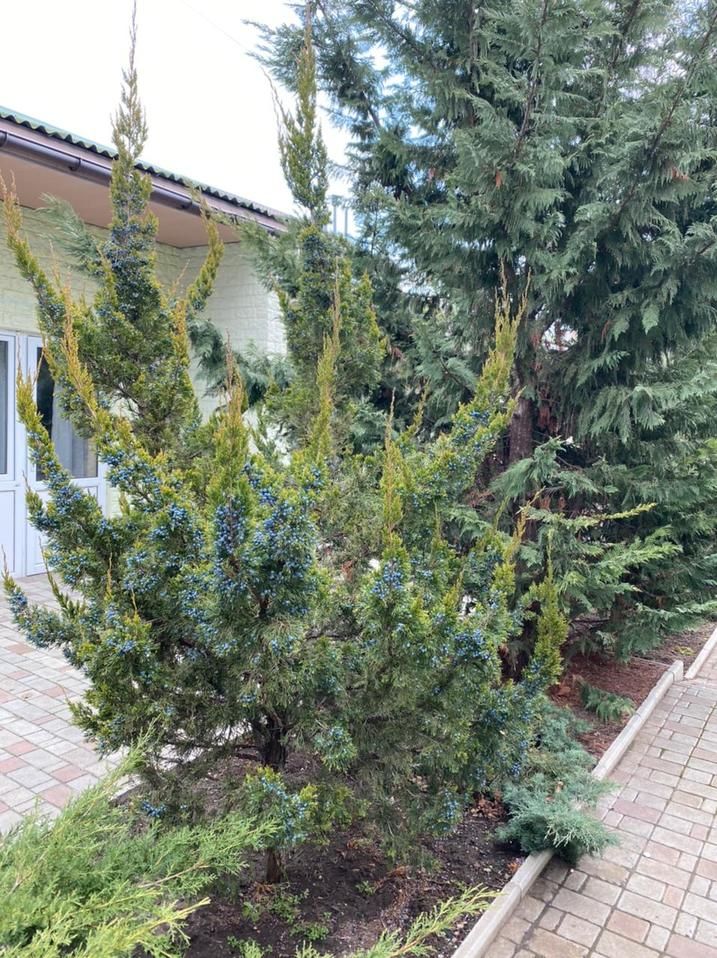 АННА-МАРИ, гостевой дом (Межводное) - 4