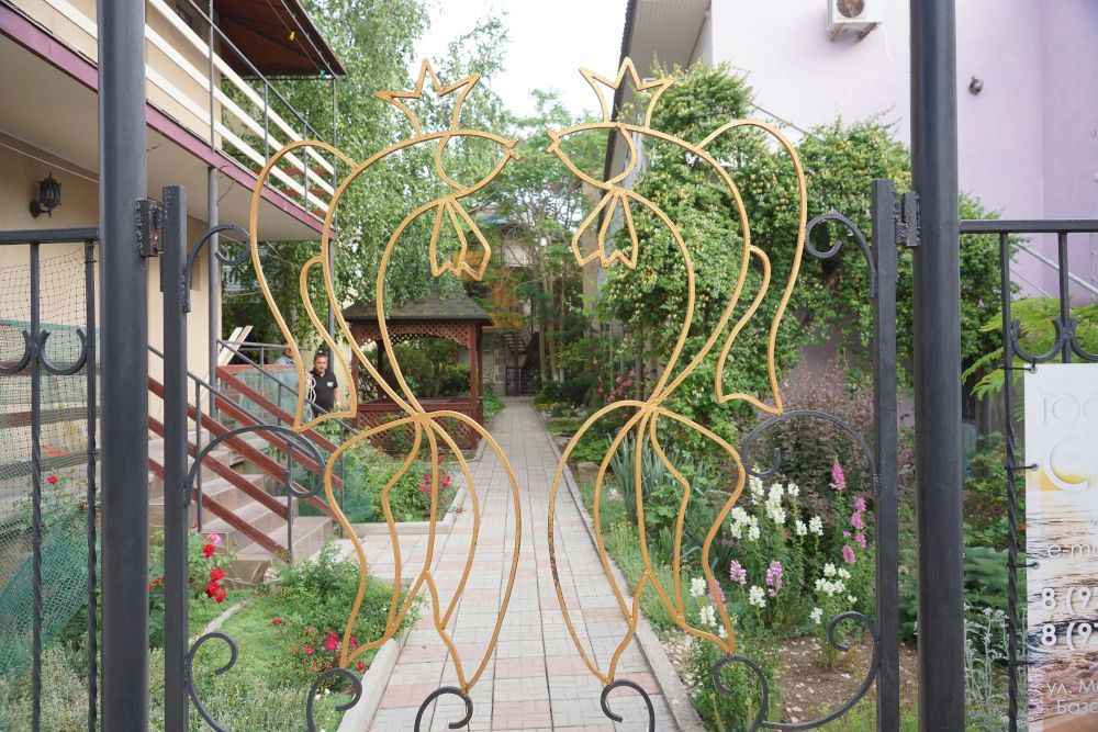 ЗОЛОТАЯ РЫБКА, ГД (Саки) - 5