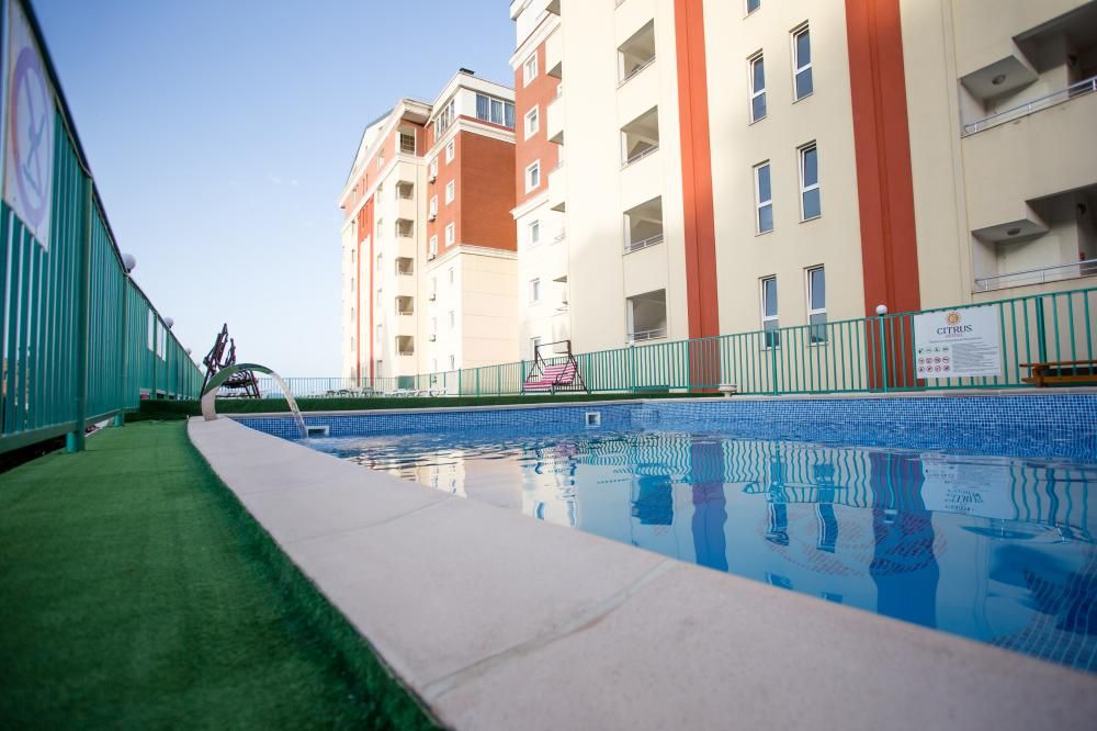 ЦИТРУС, пансионат - 6