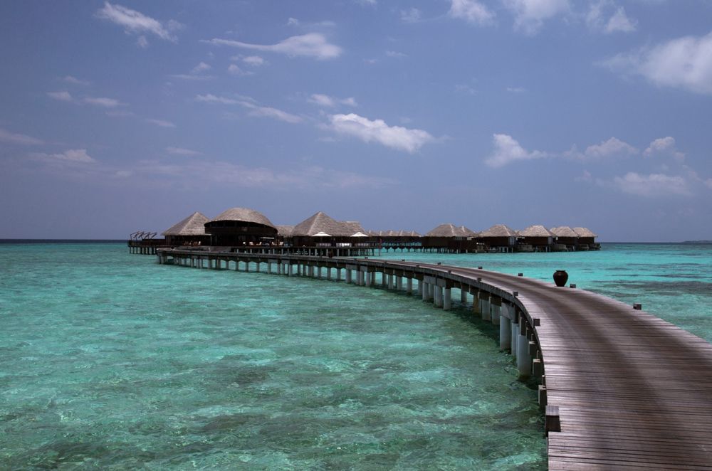 COCO BODU HITHI  - 76