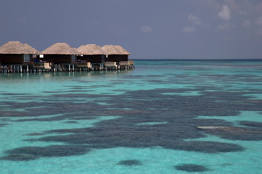 COCO BODU HITHI  - 75
