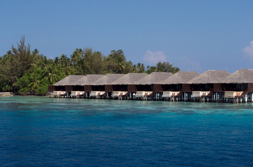 COCO BODU HITHI  - 62