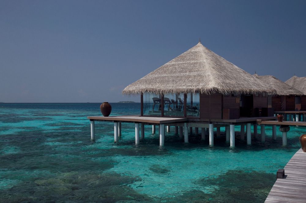 COCO BODU HITHI  - 42