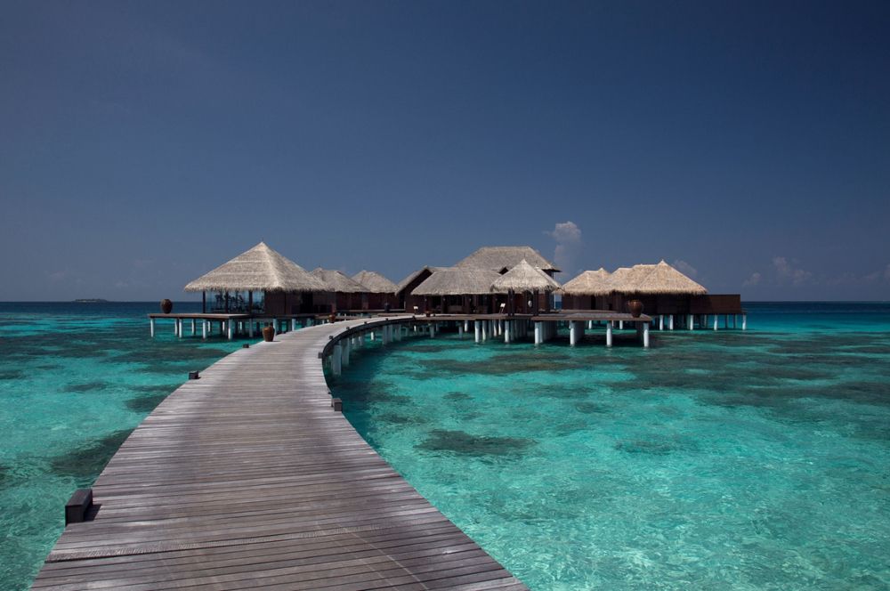COCO BODU HITHI  - 41