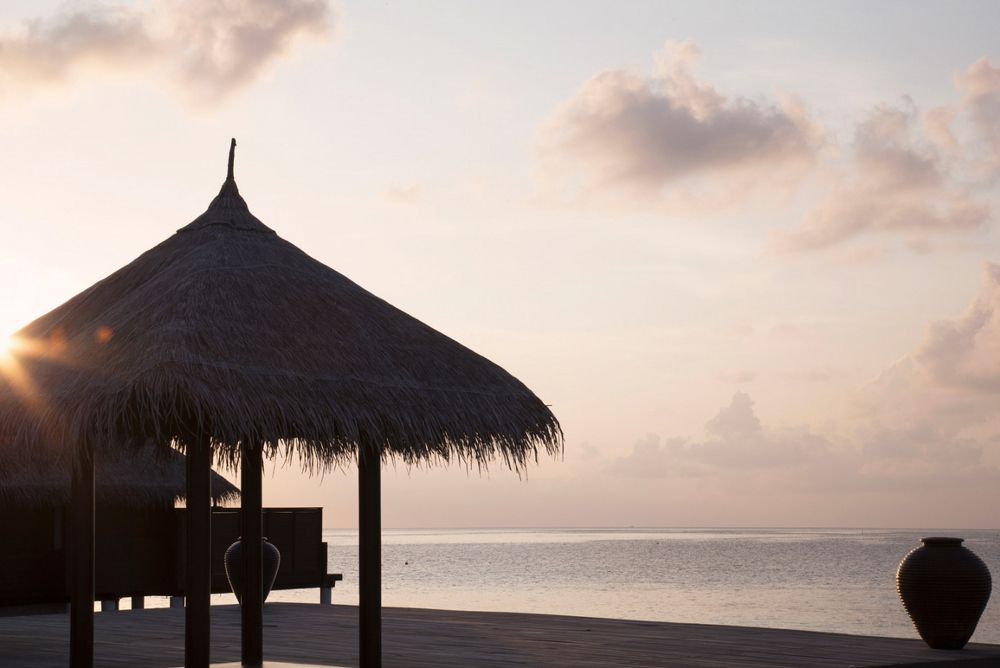 COCO BODU HITHI  - 39