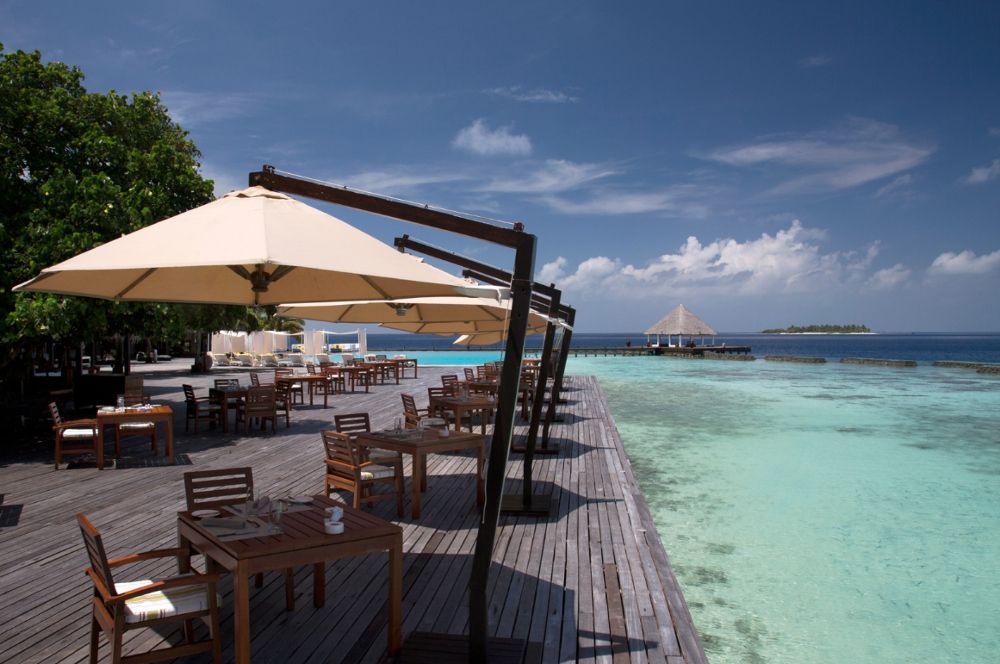 COCO BODU HITHI  - 29