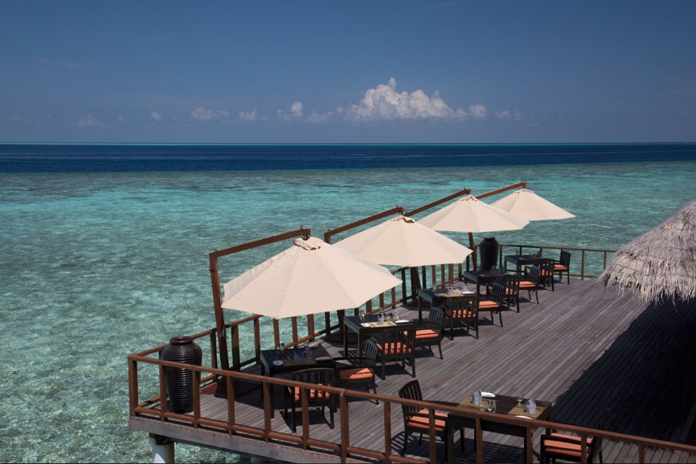 COCO BODU HITHI  - 21