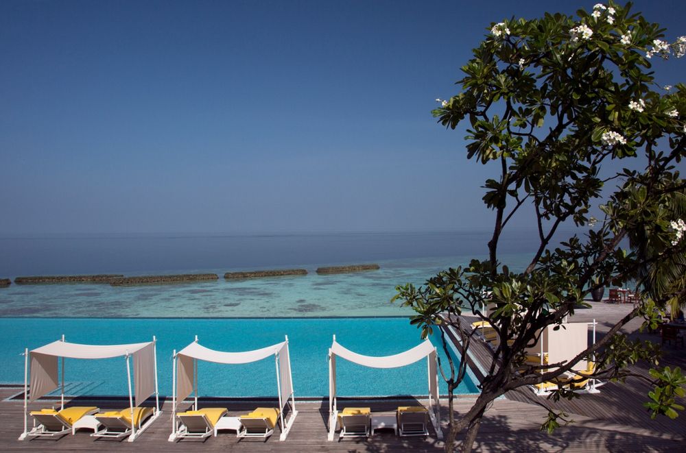 COCO BODU HITHI  - 19