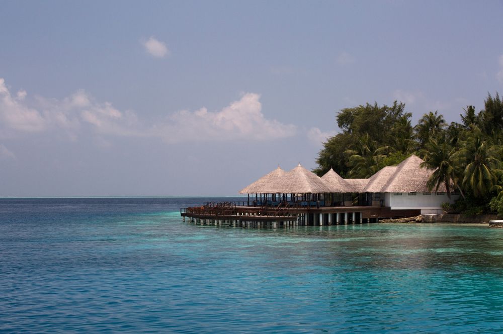 COCO BODU HITHI  - 12