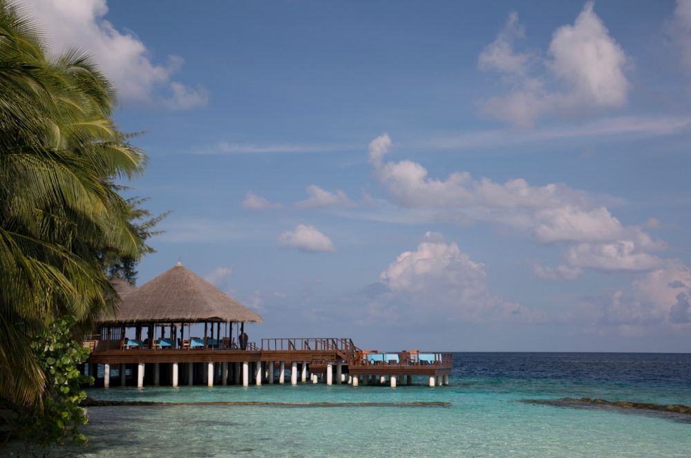 COCO BODU HITHI  - 7