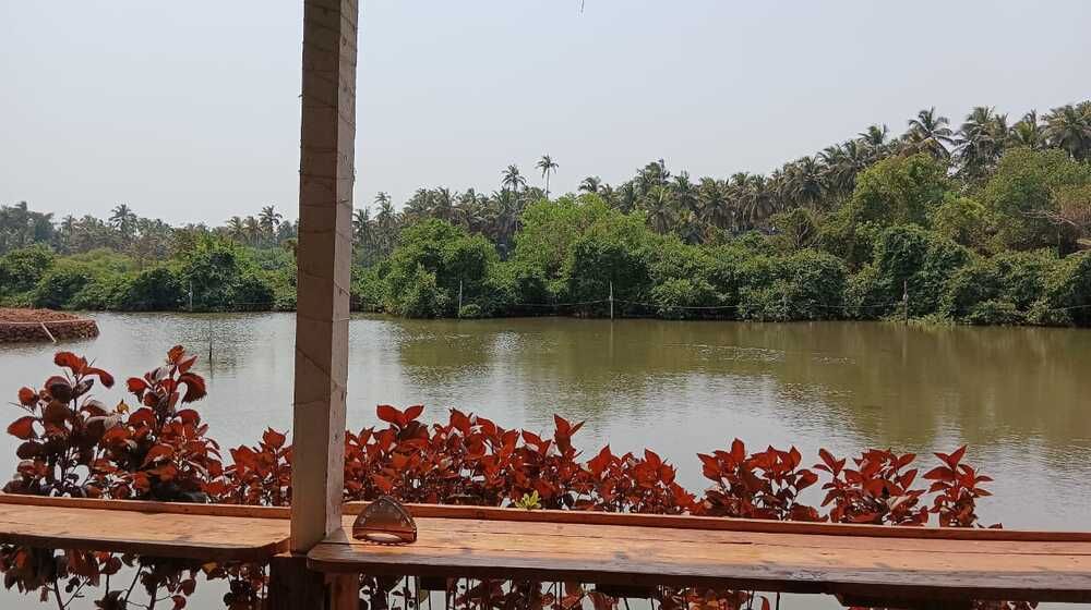 BLISS WATER RESORT – ARAMBOL - 4