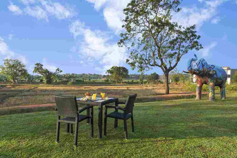 ALIYA RESORT AND SPA - 26