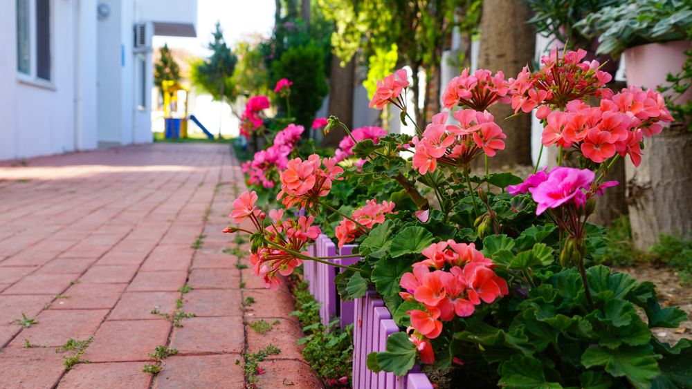 Irem Garden Family Club Hotel - 34