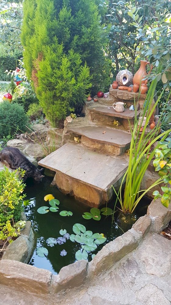 АКВАРИУМЛОО, гостевой дом - 2