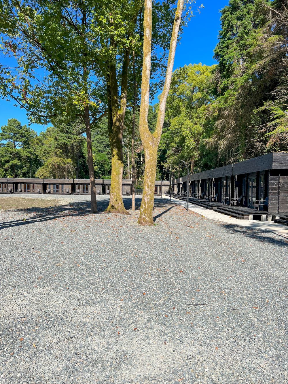 GREEN PARK, отель - 8