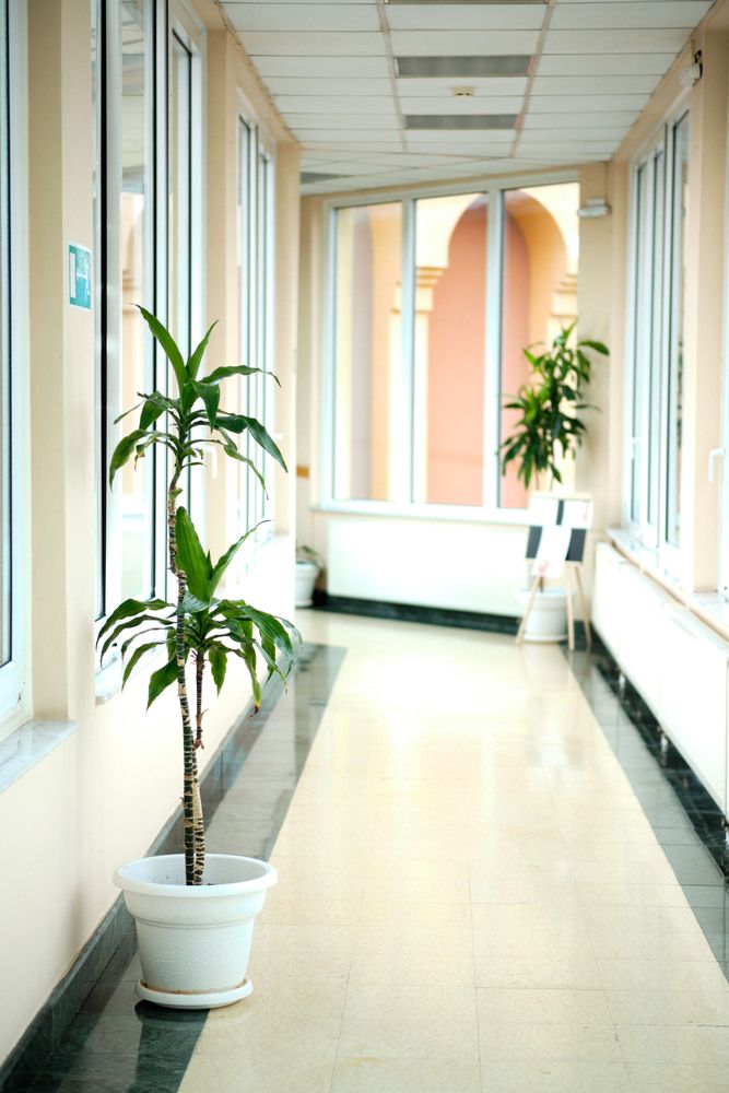 AZIMUT ЗДОРОВЬЕ ДОЛИНА НАРЗАНОВ, санаторий (лечение детей с 4 лет) - 20