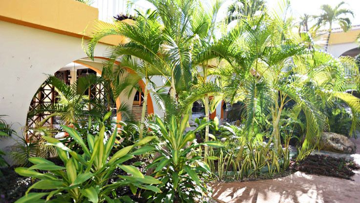 STARFISH LAS PALMAS - 9