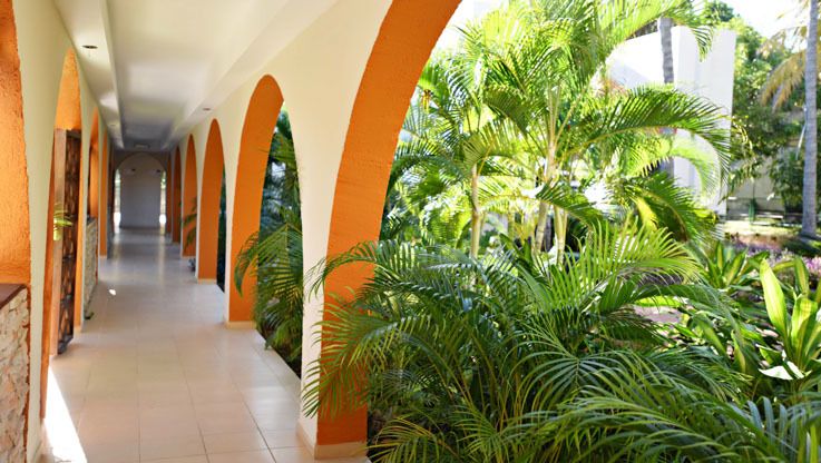 STARFISH LAS PALMAS - 11