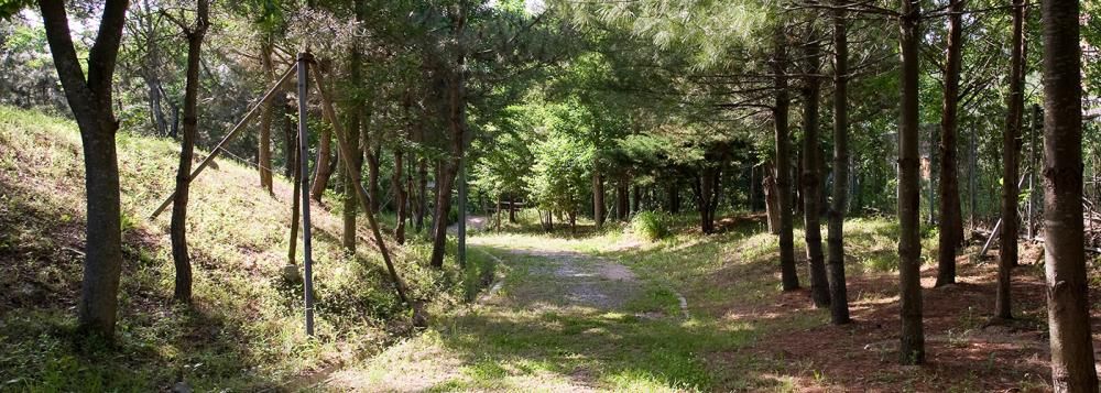 THE K GYEONGJU HOTEL - 4