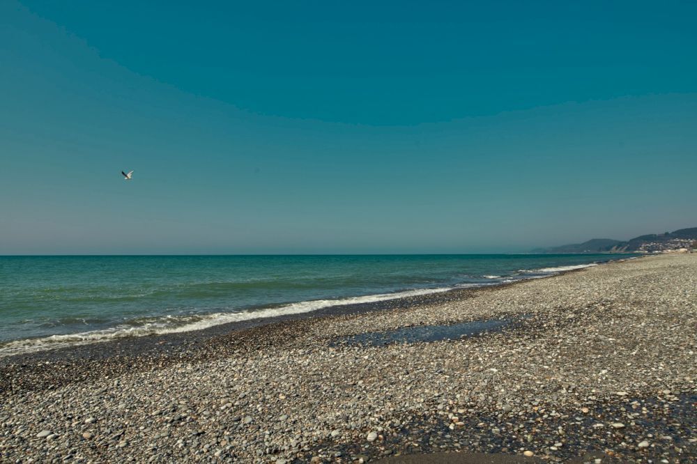 ГЛОБУС, гостиница - 19